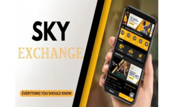 online cricket id IPL Live Bet, online cricket id, play11bet book/, reddybook